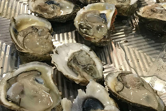 Tours Available for Underwater Oyster Farm in Barnegat