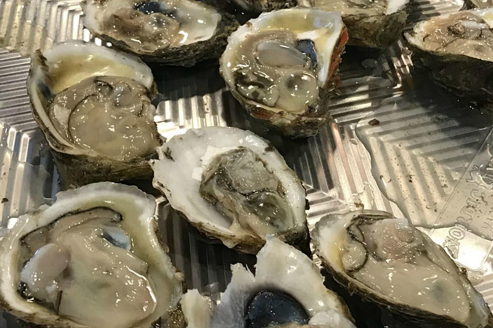 NJ man finds huge pearl in oyster: How rare are they?