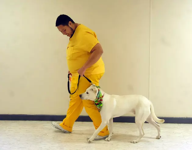 Inmates in Camden County Train Service Pets for Veterans