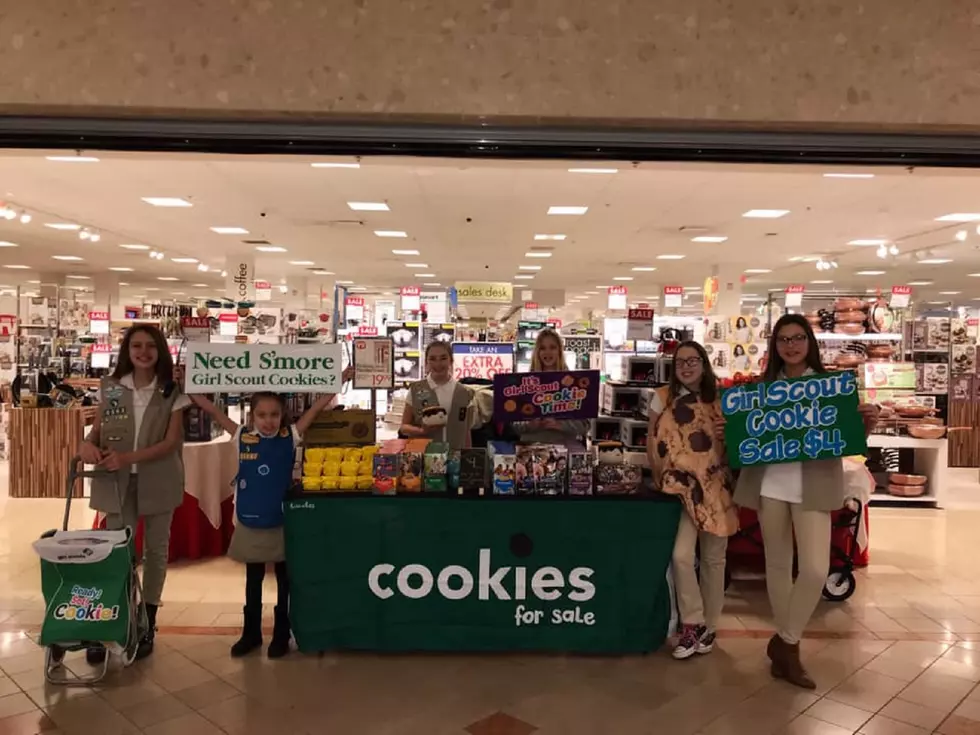 After Girl Scouts Report $1,000 Theft, NJ Businesses Step Up