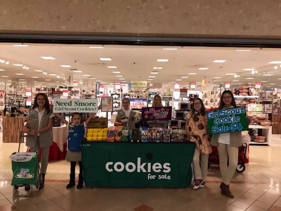 After Girl Scouts report $1,000 theft, NJ businesses step up