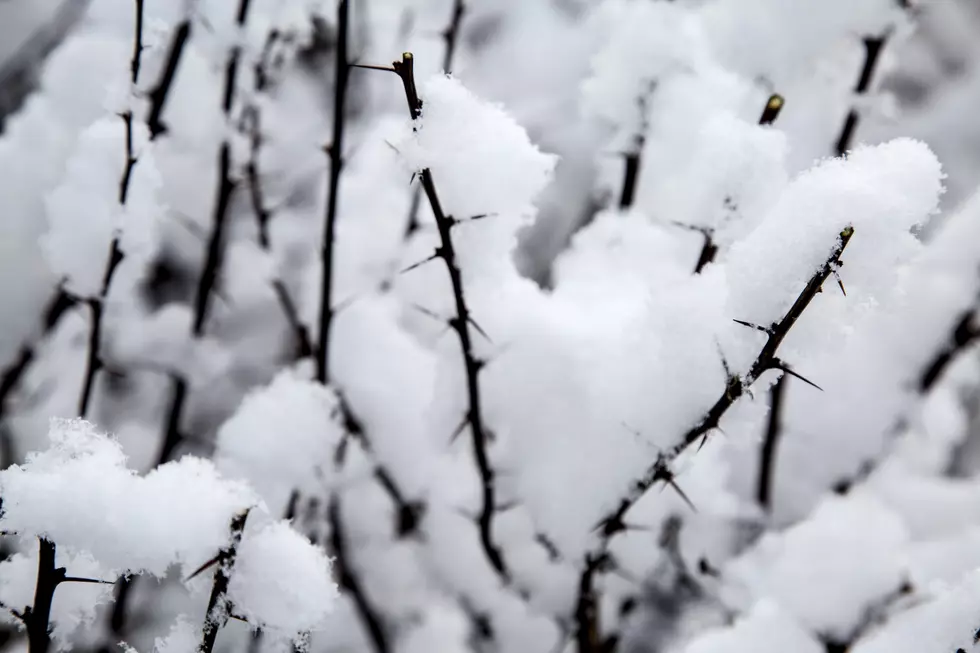 Winter Weather Advisory: Snowy scene for southern NJ by Sunday