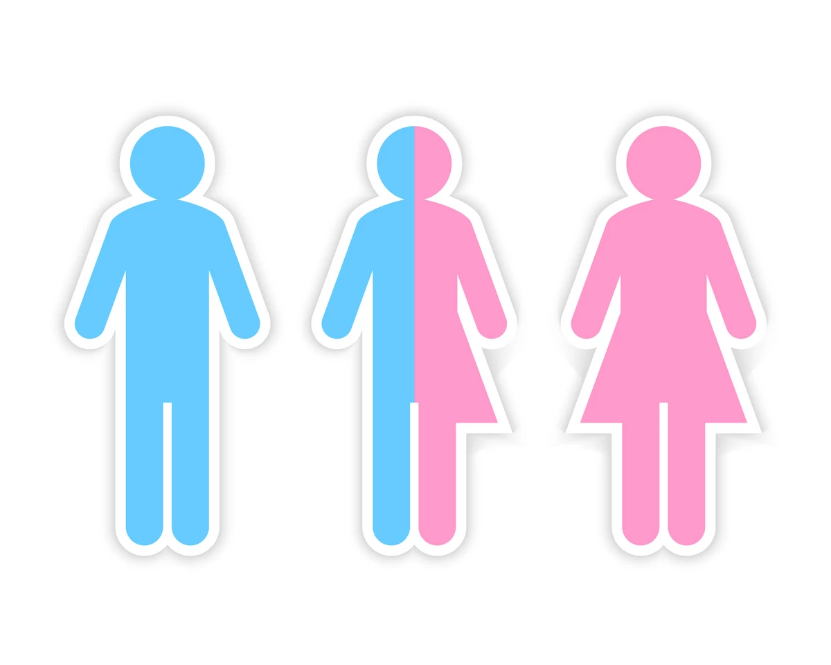 New gender, sexual orientation options possible for NJ forms