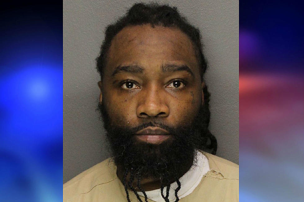 NJ Man Could Spend Year in Prison for What He Did to Pit Bull