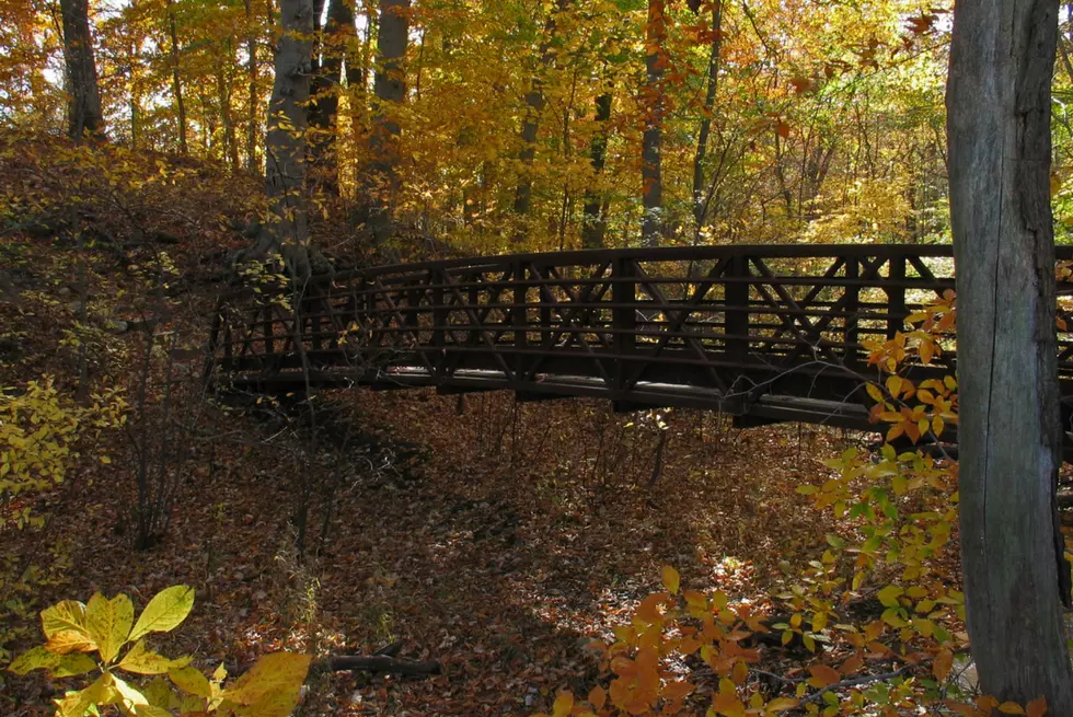 Man’s body found by hiker in Burlington County park, police say