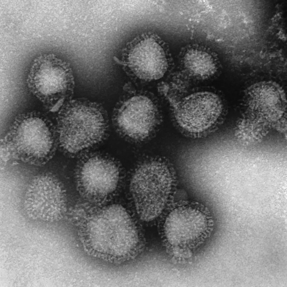 Flu season death toll in NJ now at 4