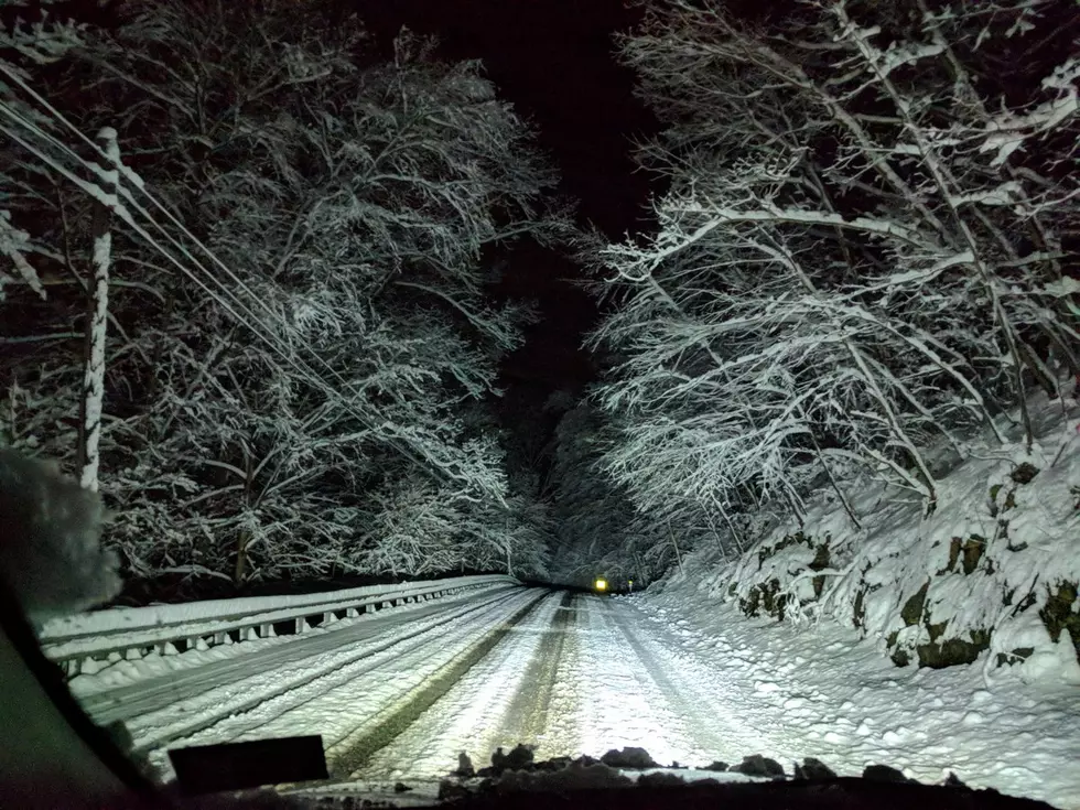 Heavy snow takes down NJ trees and power lines