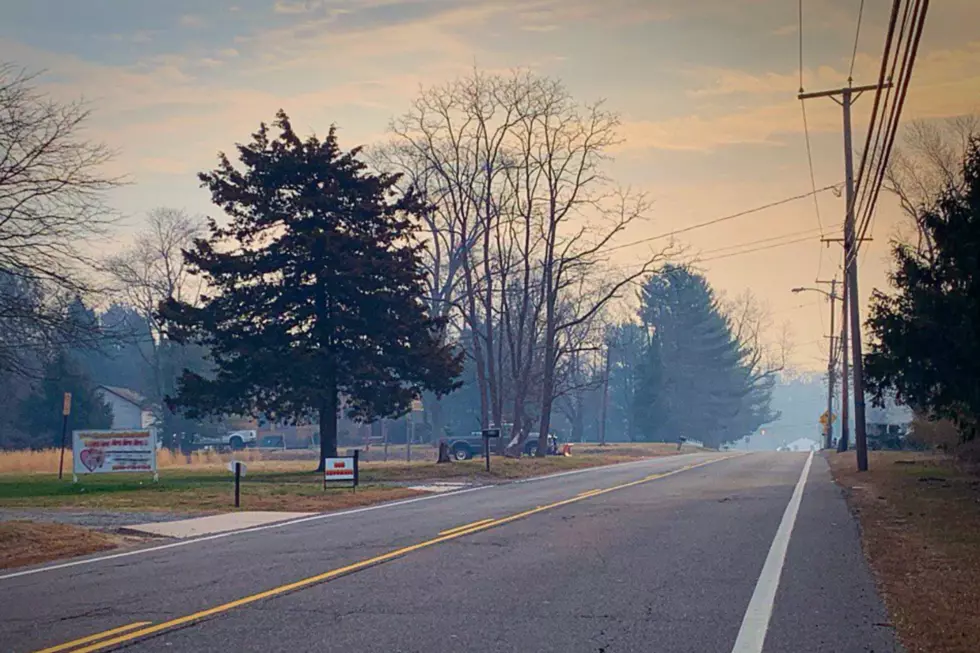 NJ forest fire smoke 2019