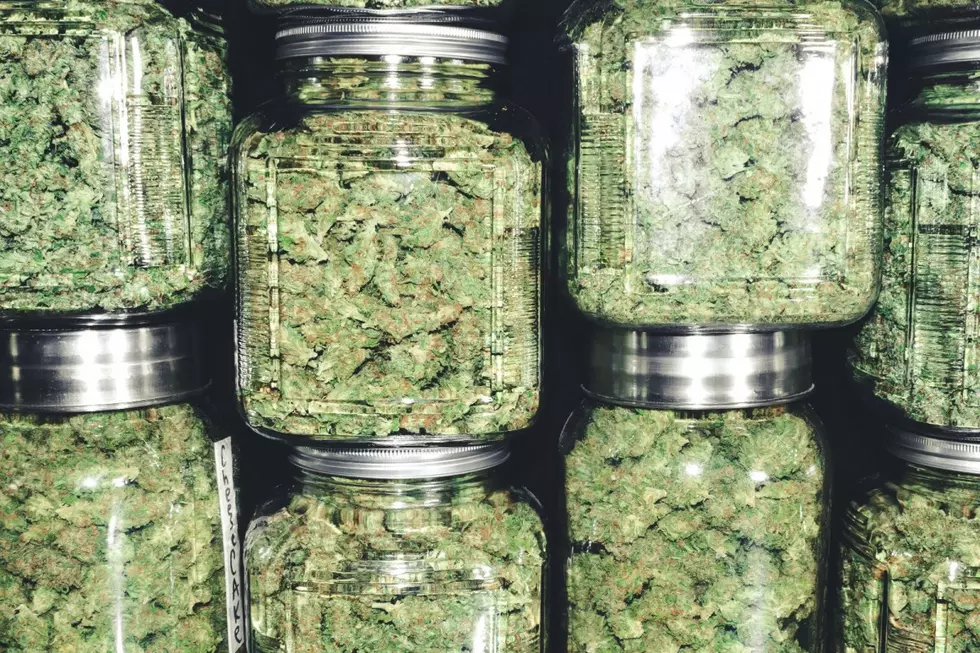 As of now, local marijuana bans are null and void when NJ law passes