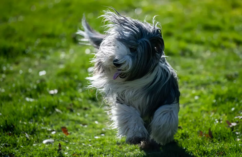 Windy, blustery Thursday for NJ &#8211; 40+ mph gusts still possible