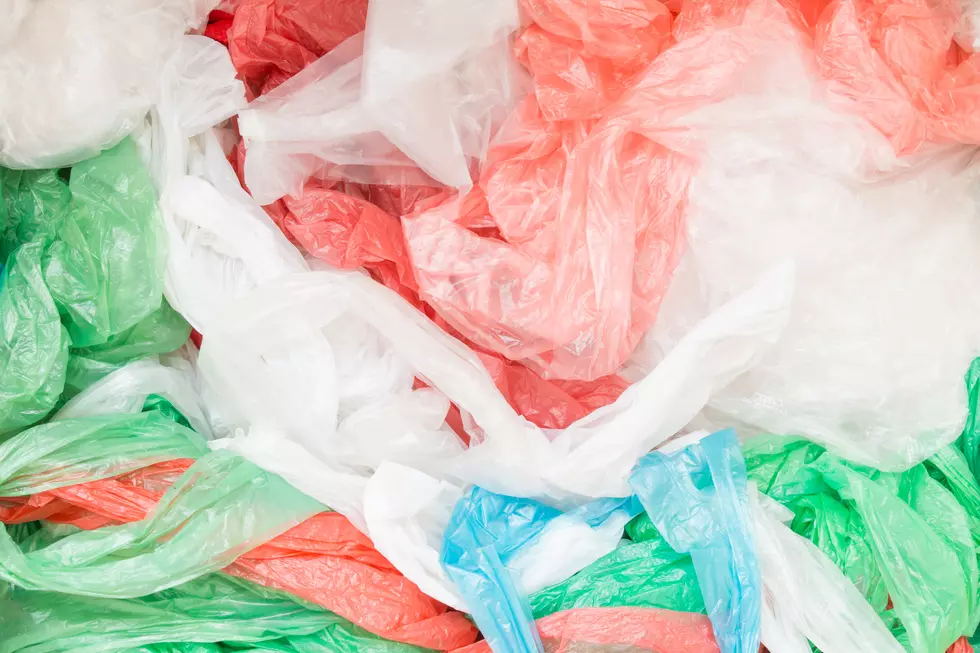 Plastic bag use, waste not just a Jersey Shore issue