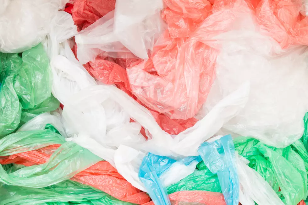 Plastic Bag Use, Waste Not Just a Jersey Shore Issue