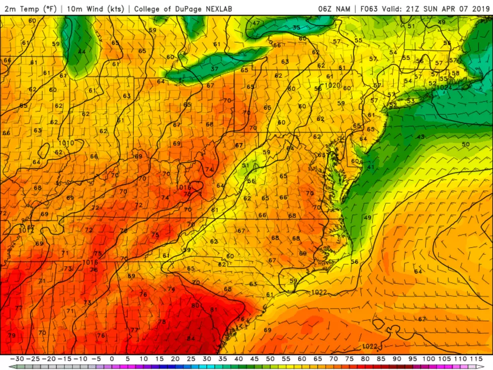 NAM model temperature forecast for Sunday afternoon, showing widespread 60s for NJ away from the Jersey Shore. (College of DuPage Meteorology)