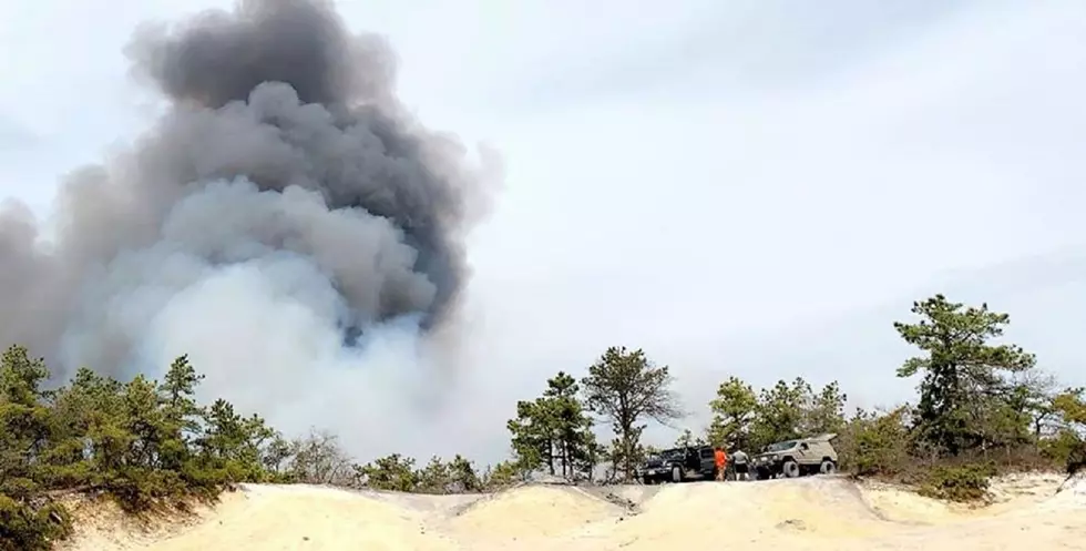 Cops want to talk to these men about 11,000-acre forest fire