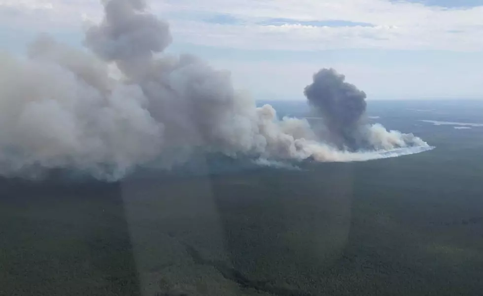 New Jersey forest fire caused by humans, DEP says