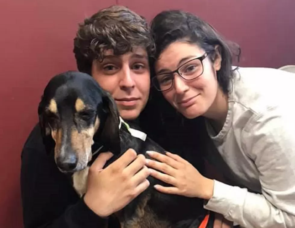 Dog With Cancer Ran Away After Surgery But Good News