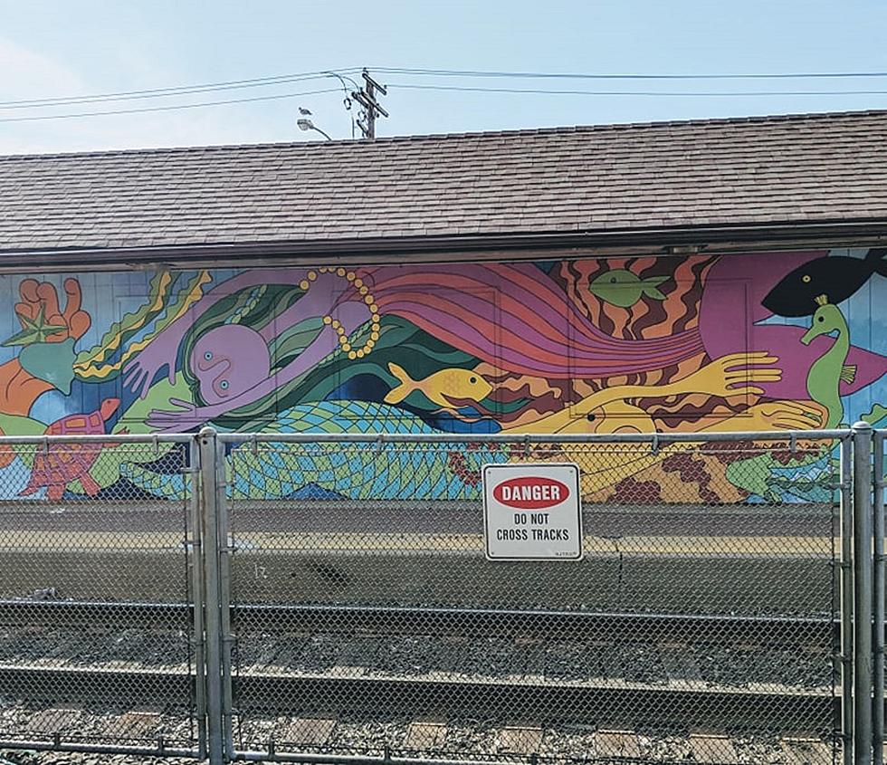 Artist who painted NJ Transit station mural is killed by train