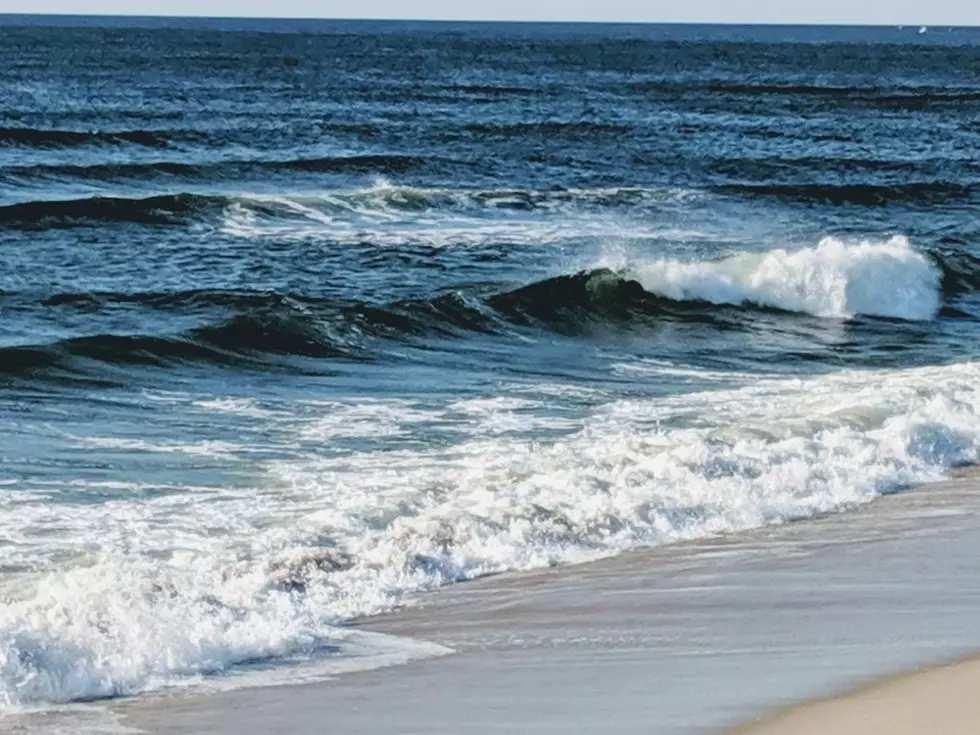 The Most Adorable, Quaint, and One of the Most popular Airbnbs at the Jersey Shore