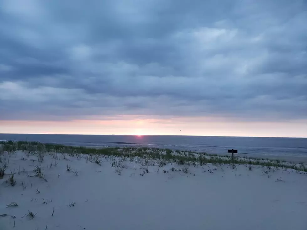 Jersey Shore Report for Wednesday, May 22, 2019