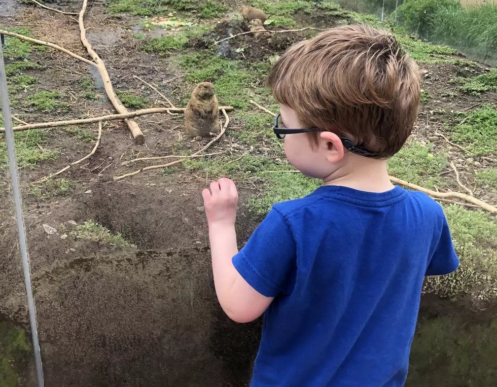 Huge thanks to Turtle Back Zoo for hosting kids with autism