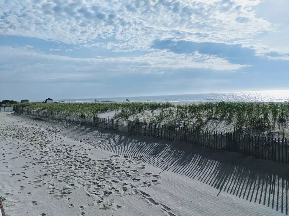 Jersey Shore Report for Monday, June 17, 2019
