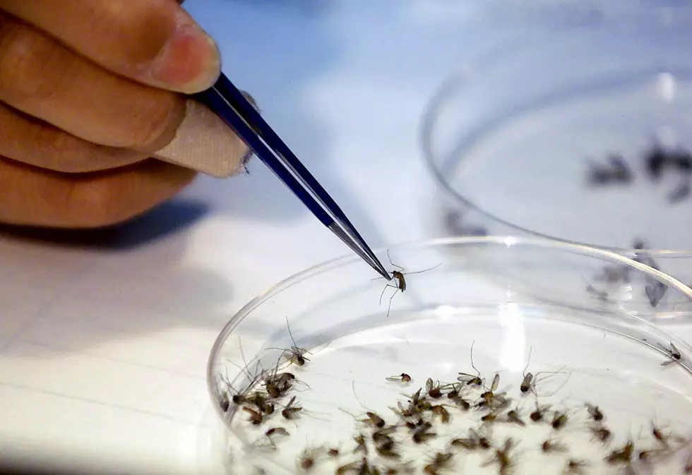 NJ is first state to create task force addressing animal-to-human outbreaks