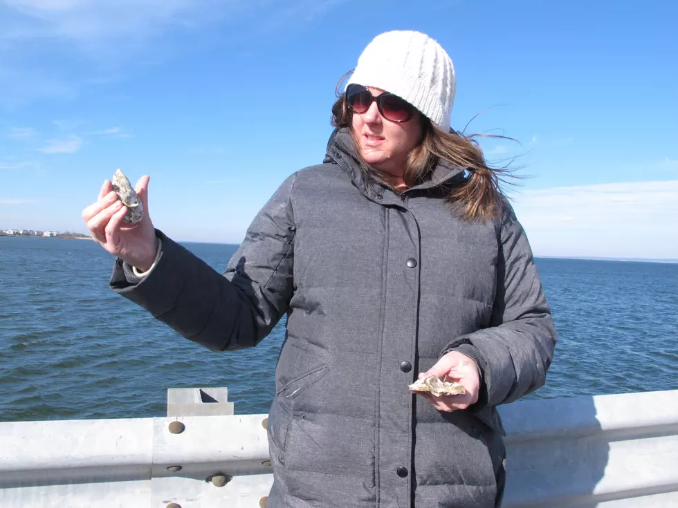 1 million oysters will be deployed at NJ military base Tuesday