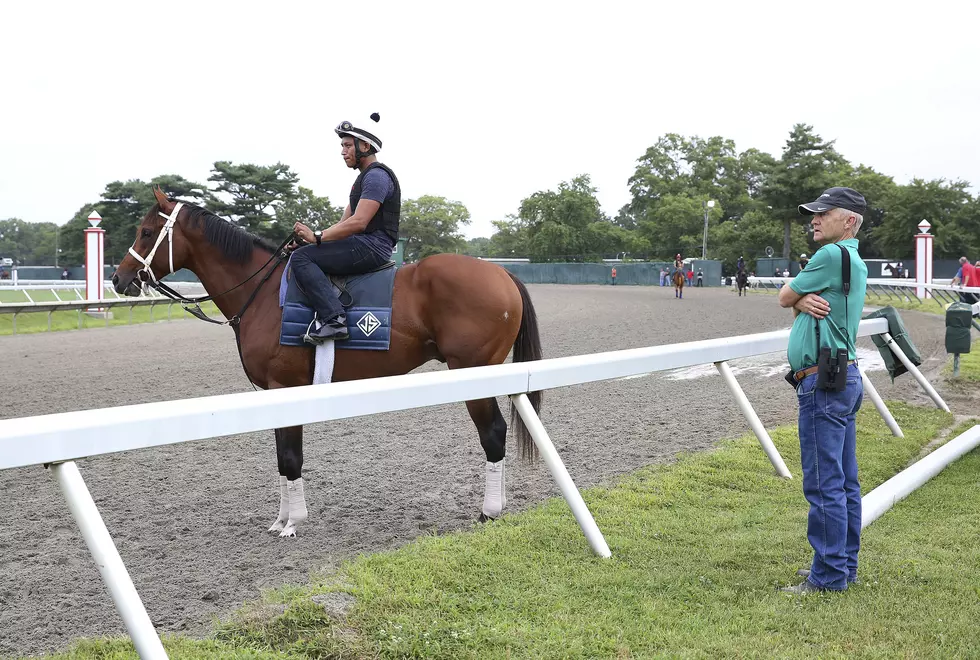 Heat is on 1M Haskell race — Horses will run in 100 degrees