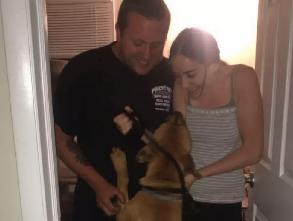 NJ dog reunited with owners 2 weeks after running from car crash