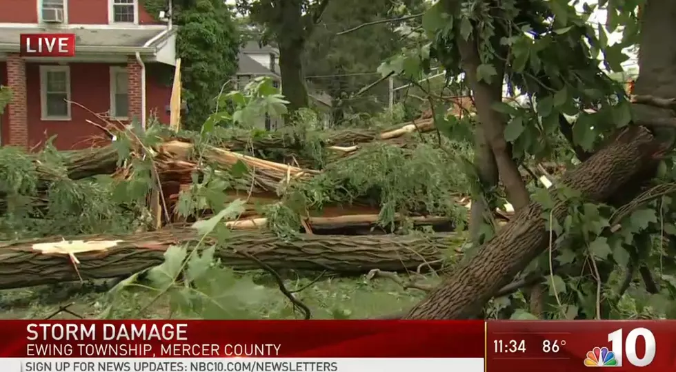 Not a tornado but downburst damages homes, 100 trees in Ewing