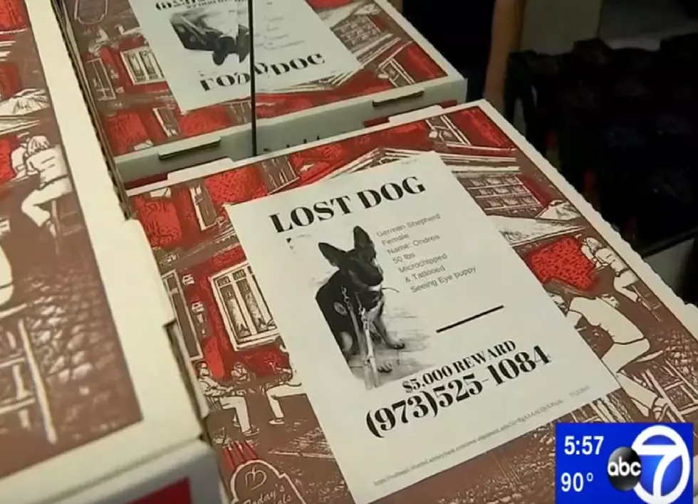 New Jersey Pizzeria Puts Missing Pets on Pizza Boxes