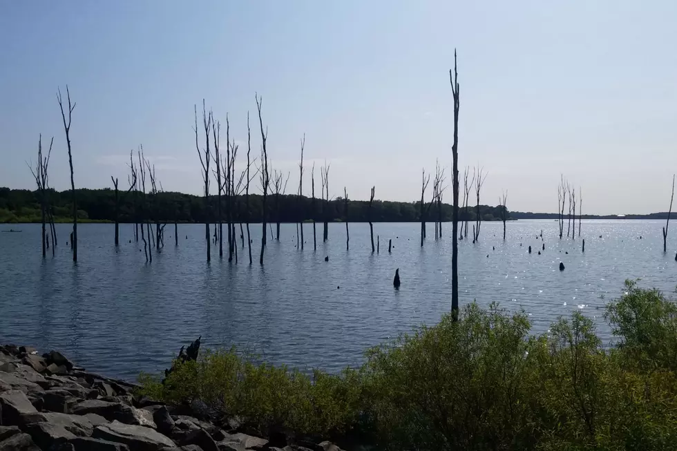 Harmful Algal Bloom warning lifted at Manasquan Reservoir