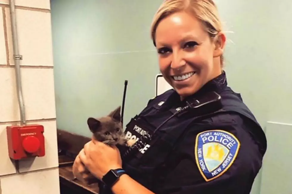 P.O. Lauren Lattanzio with "Highway" the rescued kitten (Port Authority Police)