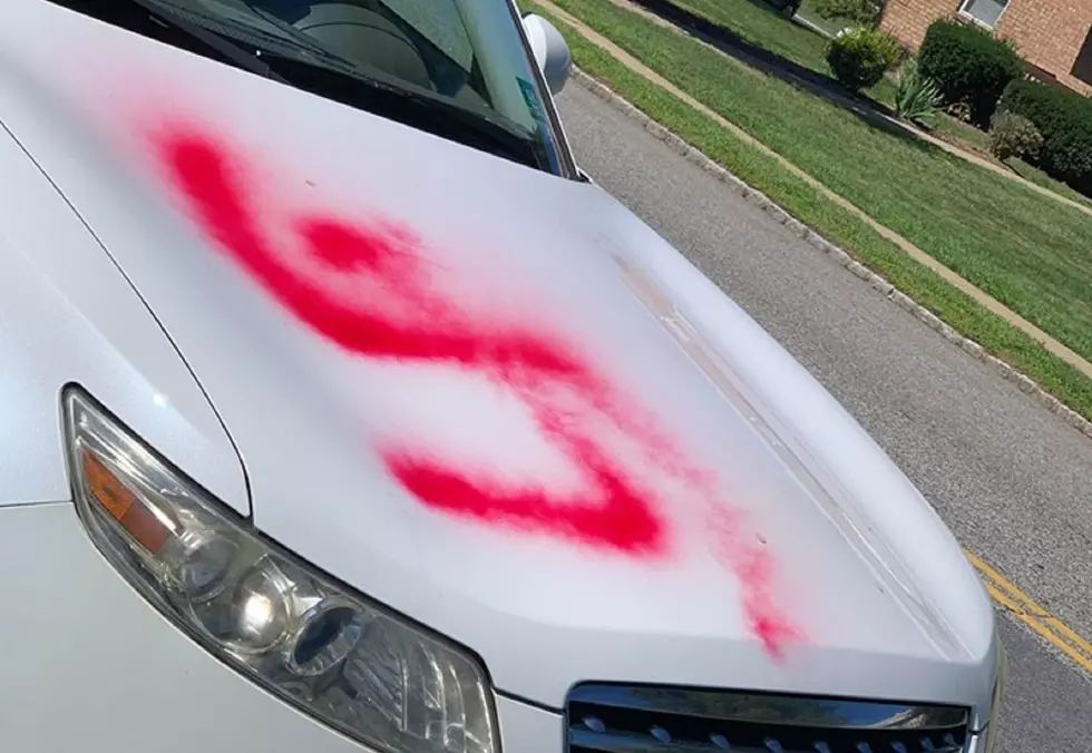 14 reports of vandalism in Mount Olive — including a pink swastika
