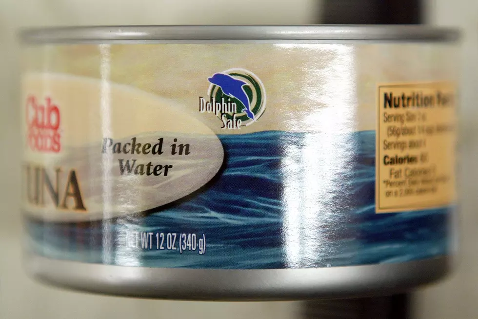 No lunch money? NJ district makes kids eat tuna sandwiches