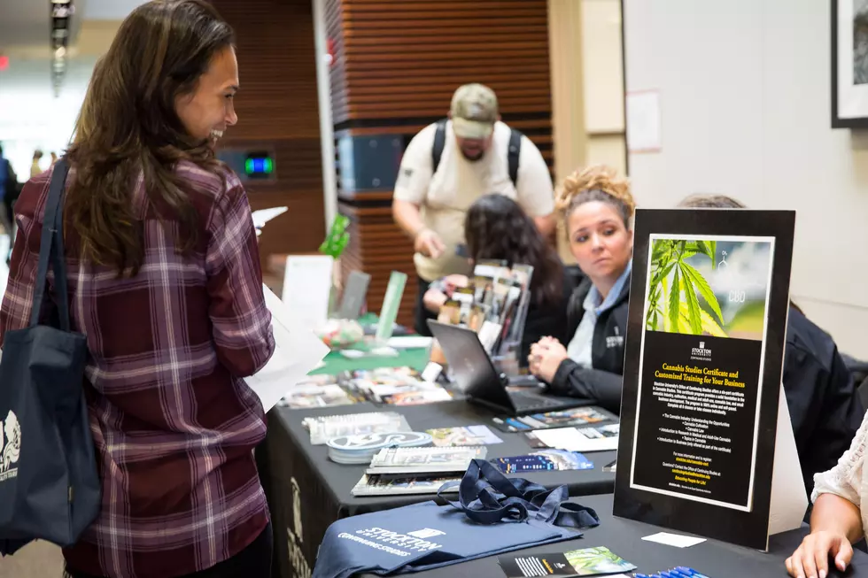 Stockton’s Cannabis Career Fair — What NJ Students Learn About Budding Industry