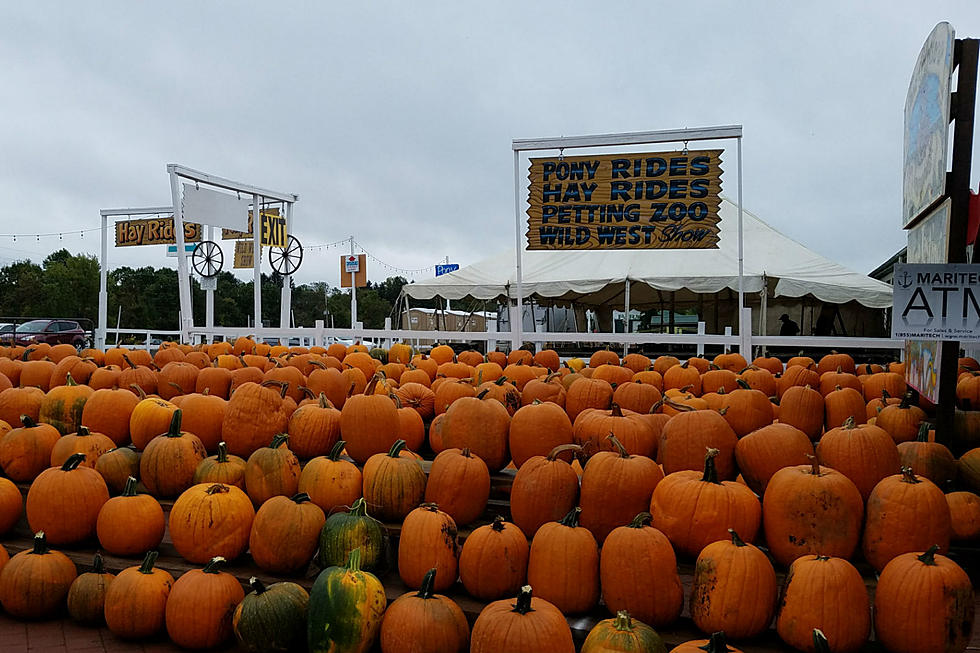 Best NJ corn mazes, pumpkin patches, hayrides for 2019
