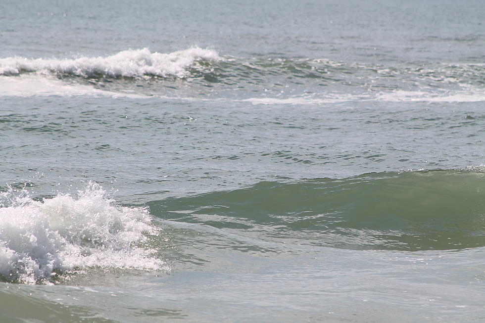 Bacteria was Hazardous at 73 NJ Beaches in 2019, New Report Says