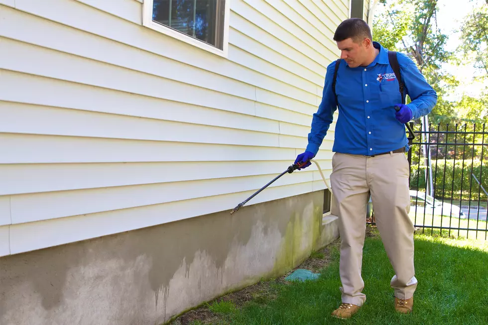 What You Need to Know About Fall Pest Prevention