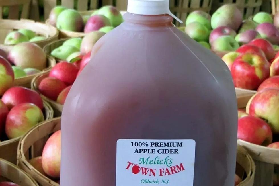 Cool day trip: Check out New Jersey’s cider mills this fall