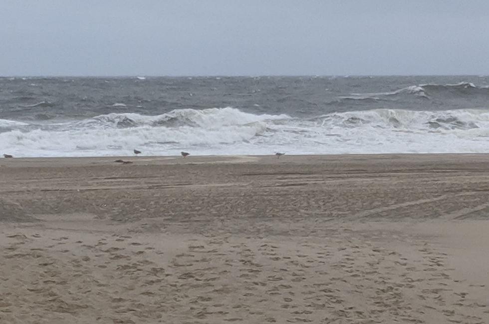 Jersey Shore Report for Saturday, September 7, 2019