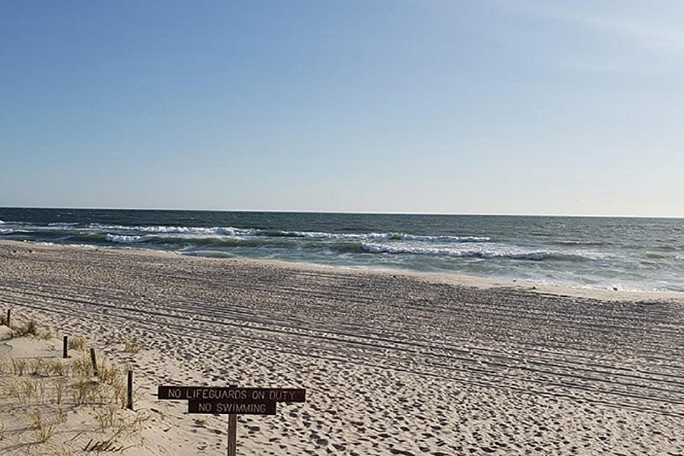 Don&#8217;t toss it! Donated Christmas trees used to build dunes at NJ shore