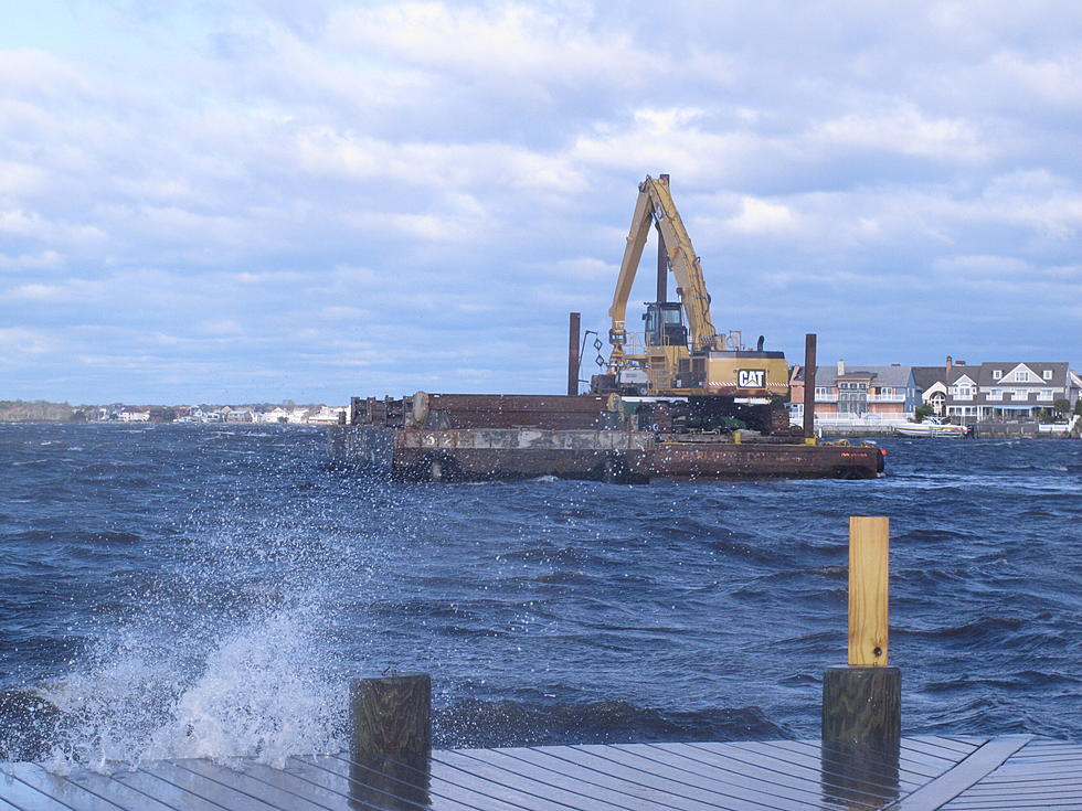 Jellyfish invasion in Barnegat Bay after nuke plant is shut down