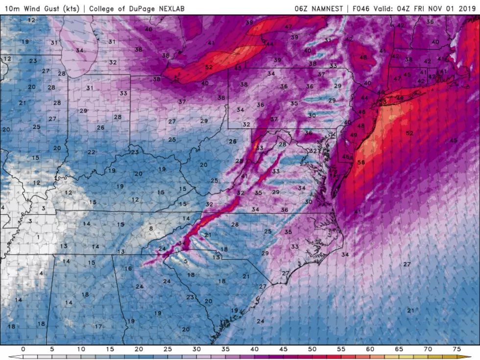 High-resolution NAM model wind forecast as of around Midnight Thursday night. Ferocious gusts to 50 mph are possible. (College of DuPage Meteorology)