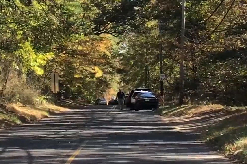 Lakewood man killed, left on Howell road — cops release few details