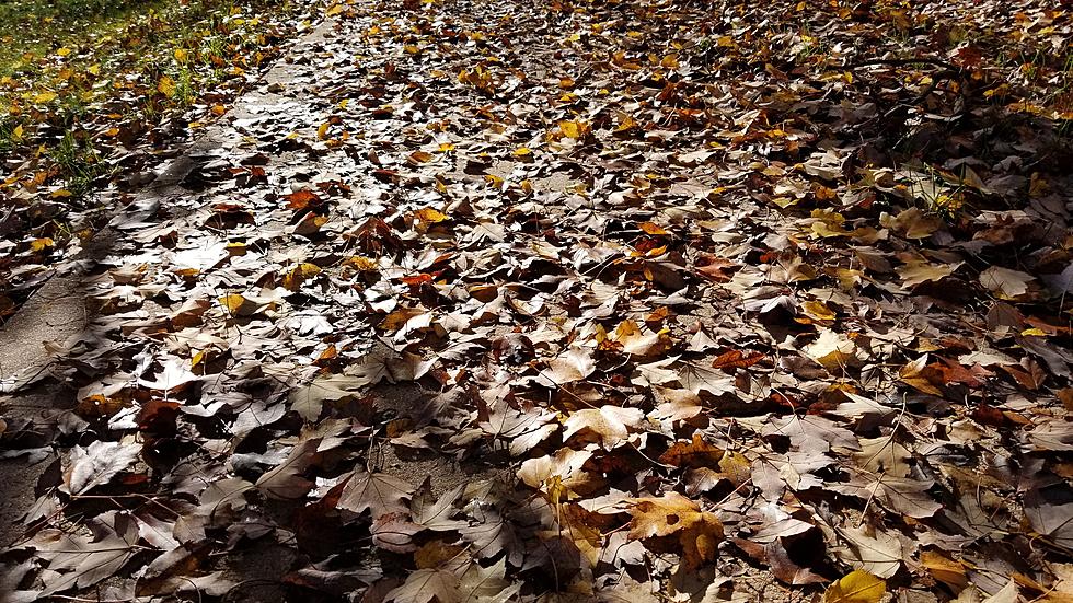 A November-ish weather week for NJ, from cool to wet to cold