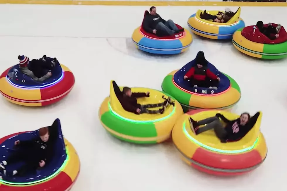 Ice bumper cars back in NJ for 2019: Here are the details