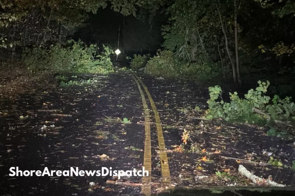 Storms rip down NJ trees and power lines, thousands in the dark