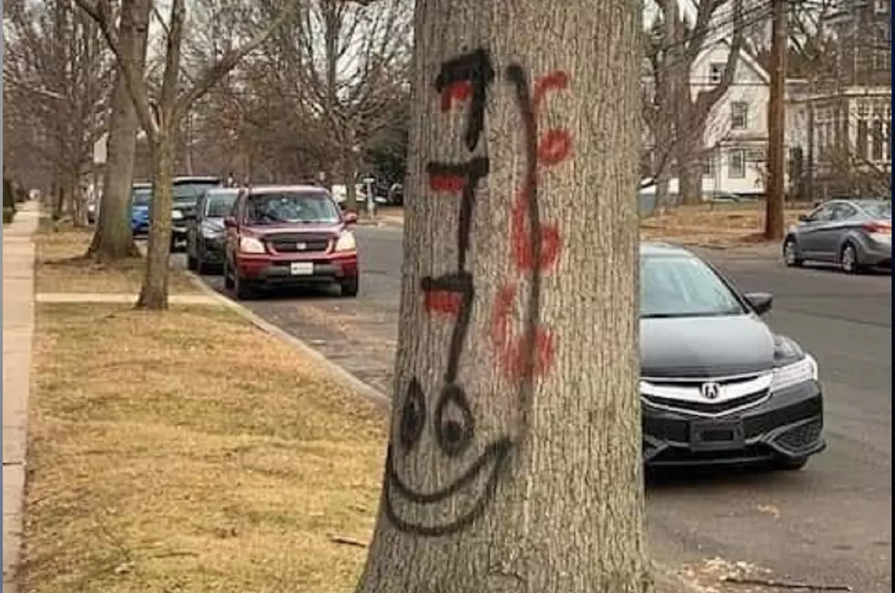 Graffiti near Highland Park synagogue wasn't bias crime, cops say