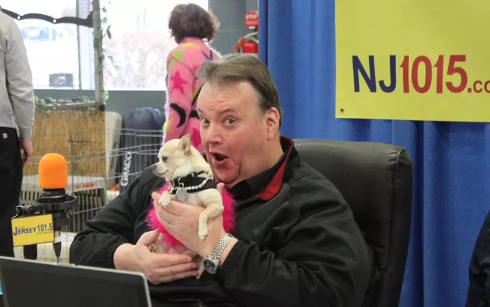 Join Big Joe at the Super Pet Expo in Edison — Feb. 8, 2020